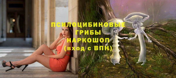 2c-b Алзамай