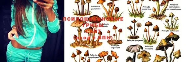 прущие крисы Алексеевка